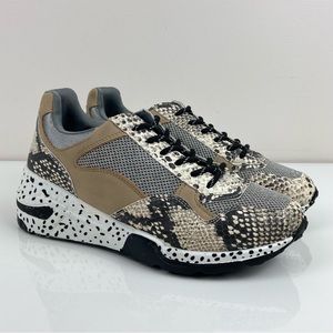 Steve Madden Women’s Bena Wedge Fashion Shoes Faux Snakeskin Size 8.0 M